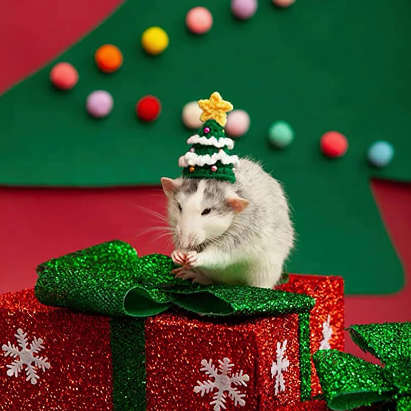 Topi Natal hewan peliharaan an - Santa Hat Plush ulasan dan harga